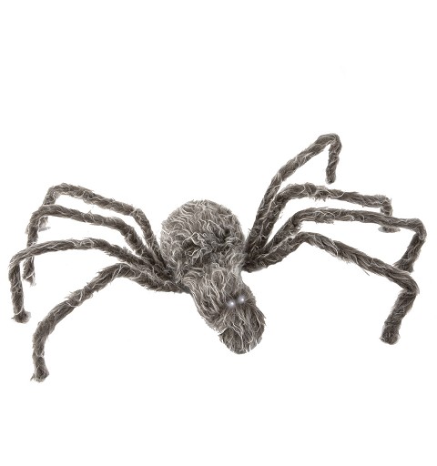 Araña Marrón de Látex