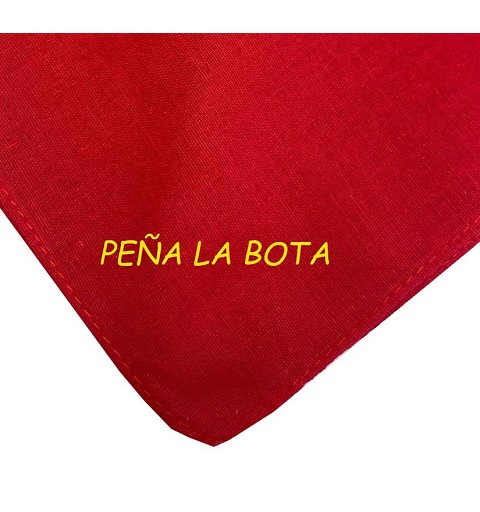 Disfraz de Gitano con Pañuelo Rojo y Fajín para Niño - MiDisfraz