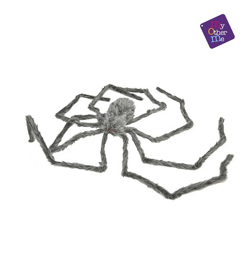 Araña Peluda Gigante