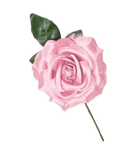 Flor con Palo Rosa