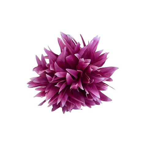 Peonía Buganvilla 13Cm x 8Cm