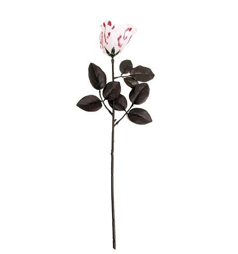 Rosa Ensangrentada *