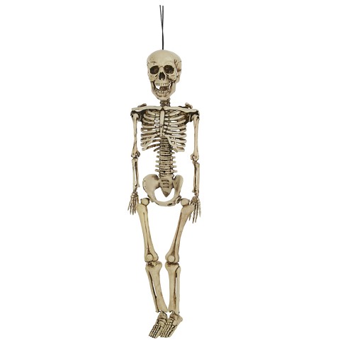 Calavera 40 cm.