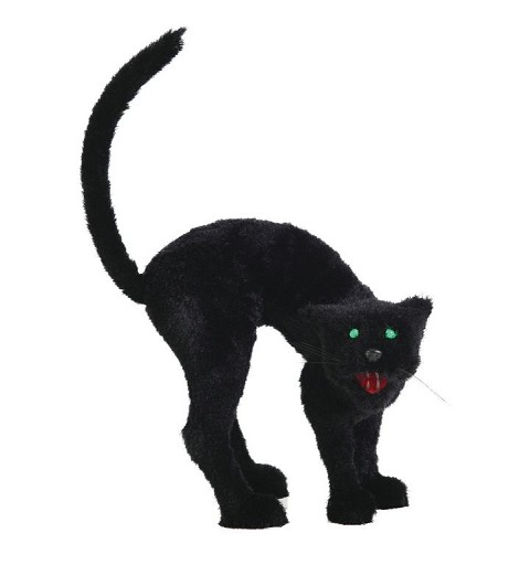 Gato Scary Grande