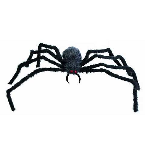 Araña Peluda Grande