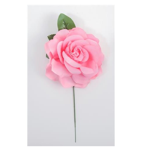 Rosa Rosa 15 CM