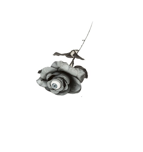 Rosa Gris Con Ojo 8 X 8 X...
