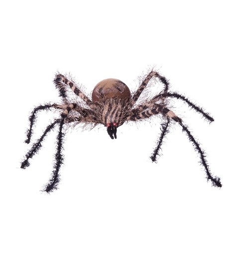 Araña Cebra Pequeña