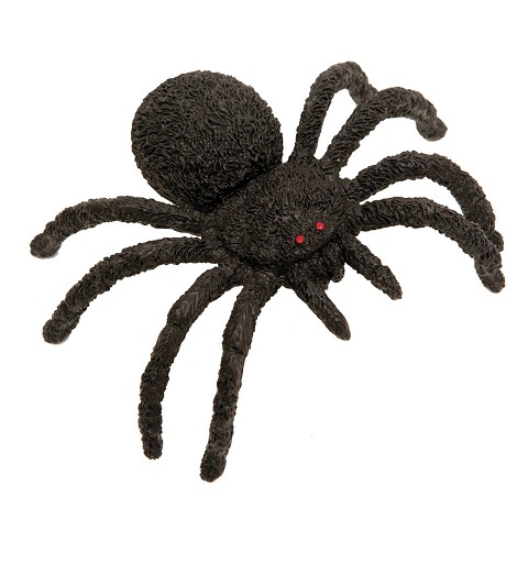 Araña Ojos Rojos