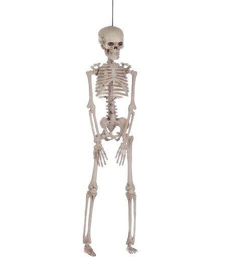 Esqueleto Pequeño