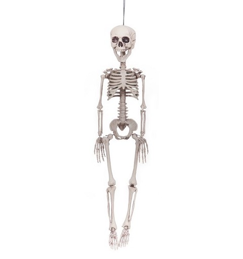 Esqueleto  76 cm