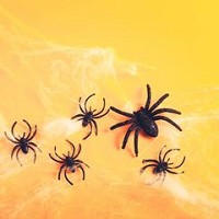 Arañas Halloween