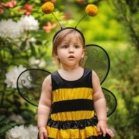 Disfraces de Abeja