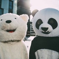 Disfraces de Oso