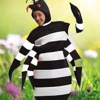 Disfraces de Insectos