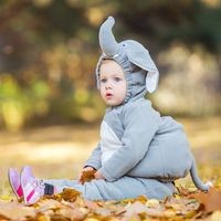 Disfraces de Elefante