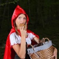 Disfraces Caperucita Roja y el Lobo