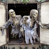 Esqueletos Halloween