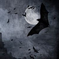 Murciélagos Halloween