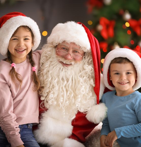 Complementos de Navidad