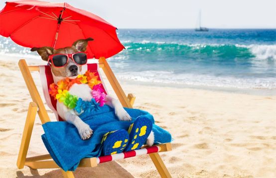Artículos de Playa, Piscina y Camping