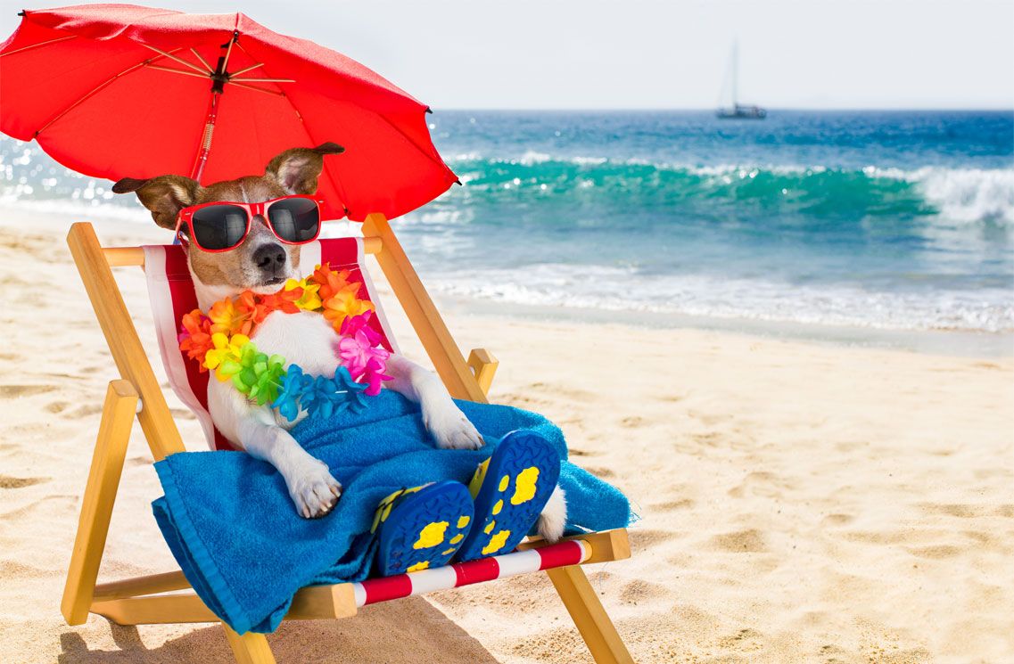 Artículos para Verano